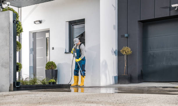 Best Soft Washing  in Menifee, CA